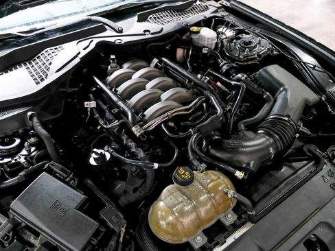 Used 2019 Ford Mustang GT w/ Equipment Group 301A image 44