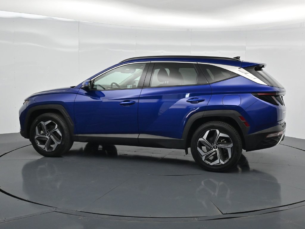 Used 2024 Hyundai Tucson Limited AWD/4WD image 4