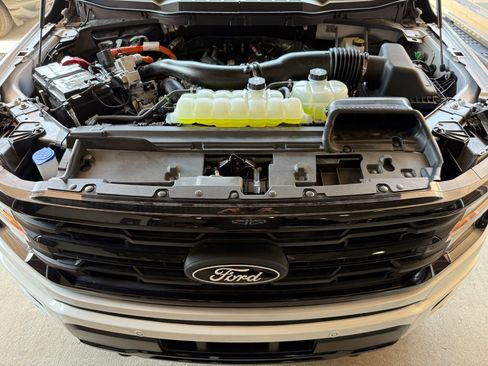 New 2025 Ford F150 XLT w/ Equipment Group 302A MID image 41