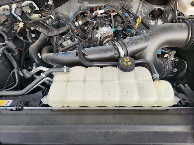 Used 2025 Ford F150 STX RWD image 32