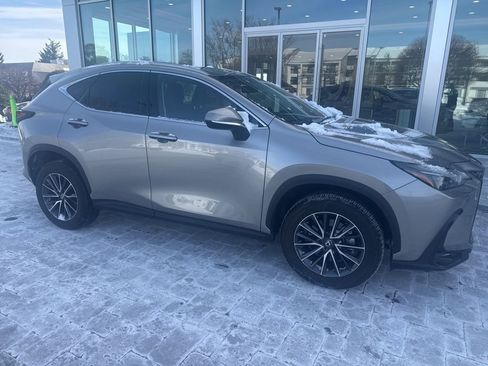 Certified 2025 Lexus NX 350 AWD w/ Premium Package image 6