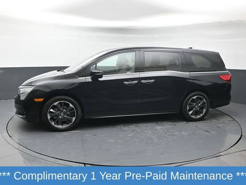Certified 2024 Honda Odyssey Elite image 2