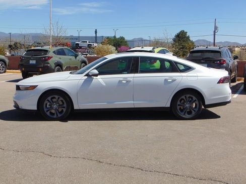 Certified 2025 Honda Accord EX-L image 6