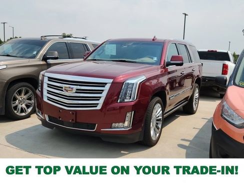 Used 2020 Cadillac Escalade Platinum AWD/4WD image 1