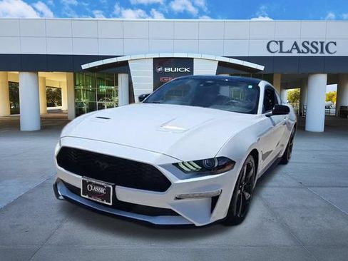 Used 2023 Ford Mustang Premium w/ Mustang Nite Pony Package RWD image 3