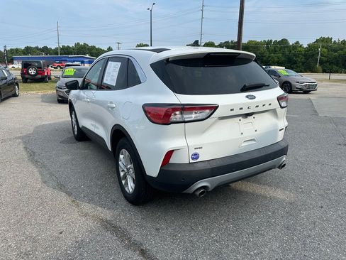 Used 2022 Ford Escape SE AWD/4WD image 3