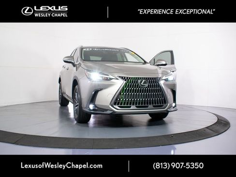 Used 2024 Lexus NX 250 FWD w/ Cold Area Package image 41
