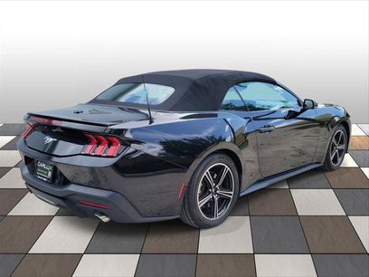 Used 2024 Ford Mustang Premium