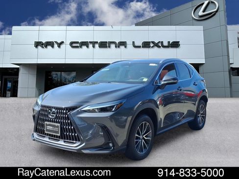 Used 2024 Lexus NX 350 AWD w/ Cold Area Package image 1