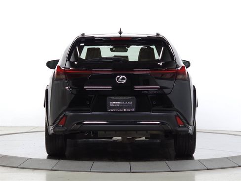 Used 2025 Lexus UX 300h AWD w/ Cold Area Package image 6