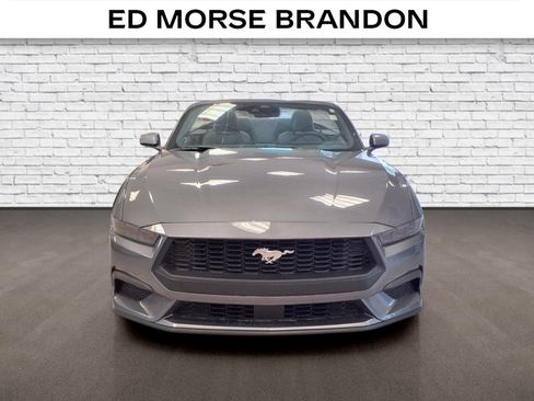 Used 2026 Ford Mustang Premium RWD image 7