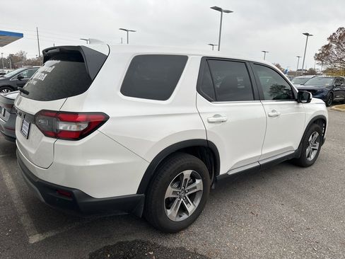 Certified 2025 Honda Pilot EX-L image 4