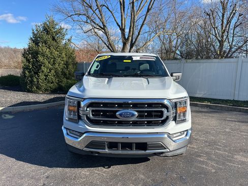 Used 2023 Ford F150 XLT w/ Equipment Group 302A High image 2