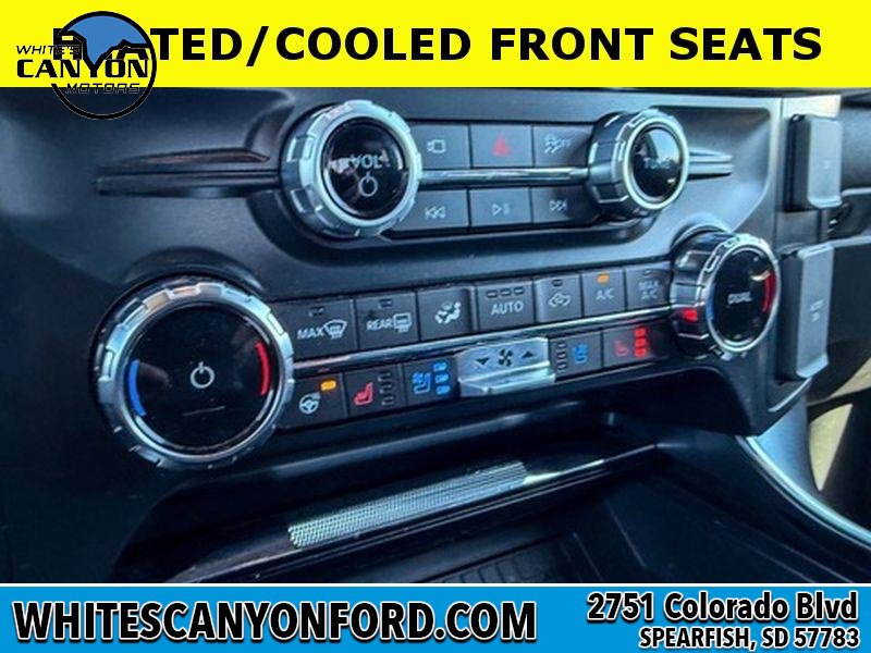 Used 2025 Ford F150 Raptor AWD/4WD image 16