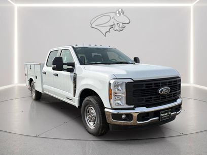 New 2025 Ford F250 XL w/ XL Chrome Package