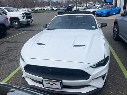 Used 2023 Ford Mustang Premium w/ Equipment Group 201A image 2