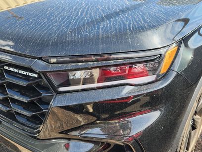 Used 2025 Honda Pilot Black Edition
