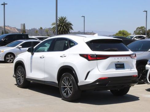 Certified 2026 Lexus NX 350h AWD w/ Cold Area Package image 19