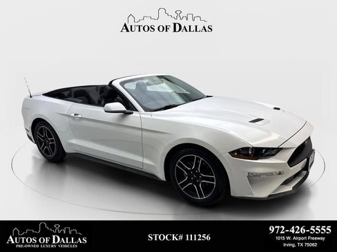 Used 2023 Ford Mustang Premium RWD image 1