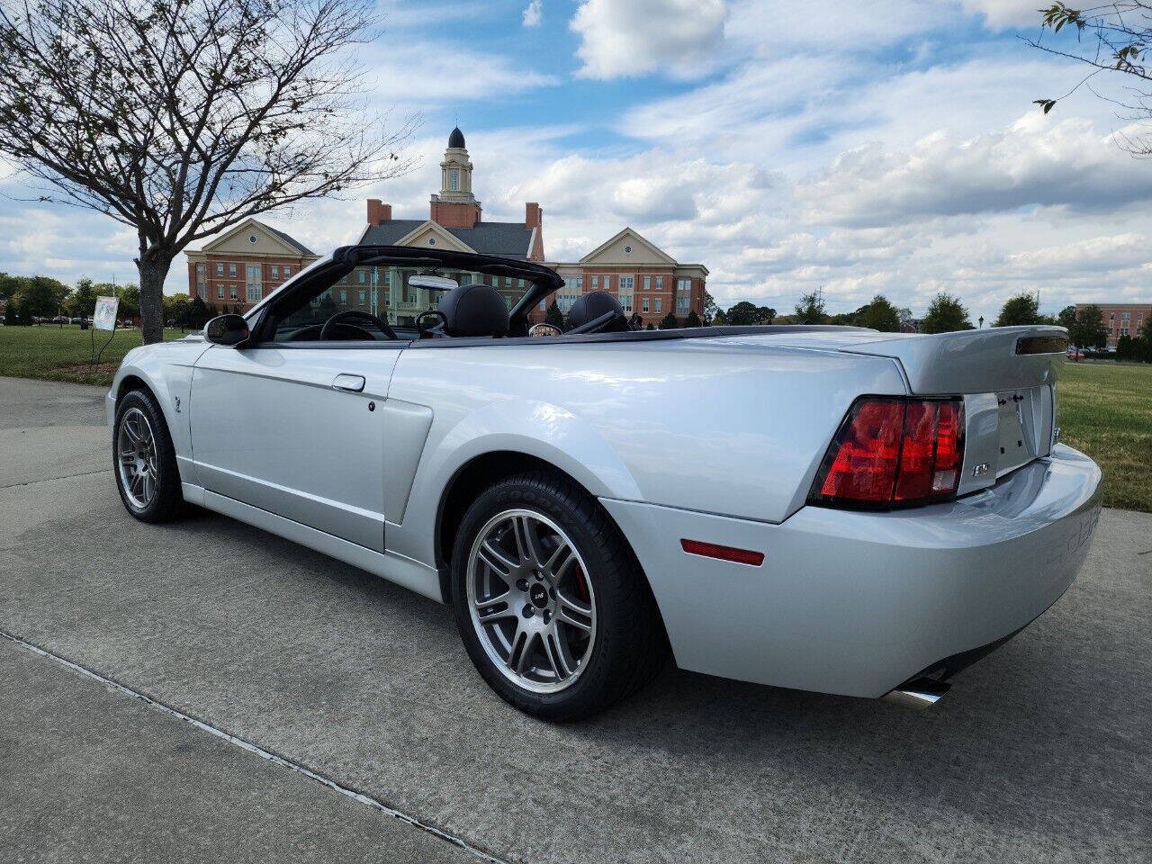 Used 2003 Ford Mustang Cobra RWD image 14