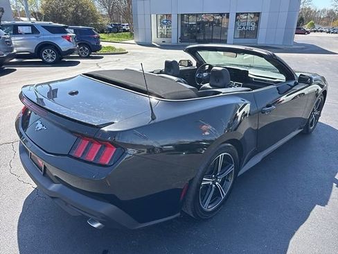 Used 2025 Ford Mustang Premium image 5