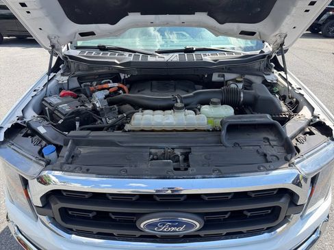 Used 2023 Ford F150 XLT w/ Trailer Tow Package AWD/4WD image 18