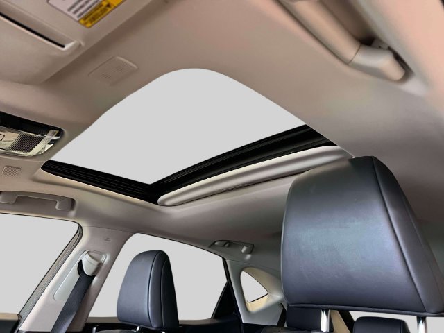 Certified 2024 Lexus NX 250 FWD w/ Cold Area Package image 23