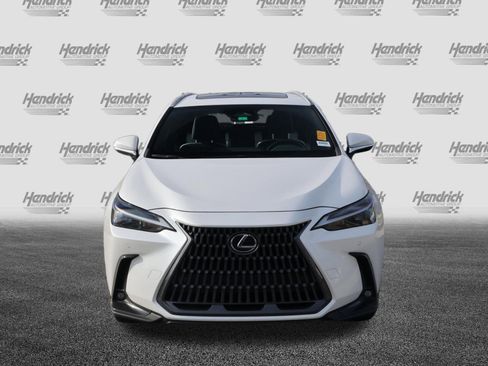 Certified 2024 Lexus NX 250 FWD w/ Cold Area Package image 3