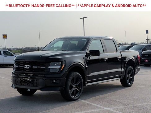 New 2025 Ford F150 STX w/ LOBO Package image 3