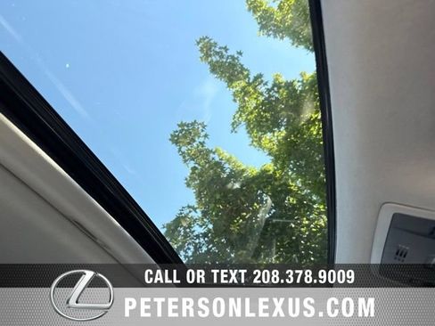 Used 2019 Lexus RX 450h AWD w/ Cold Area Package image 14