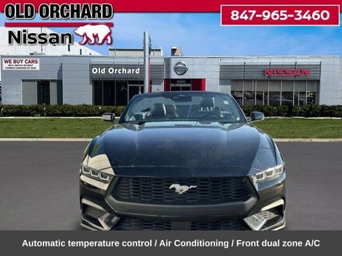 Used 2024 Ford Mustang Premium RWD image 2