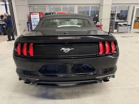 Used 2023 Ford Mustang Premium image 5