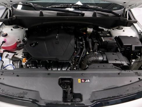 Used 2025 Kia Sportage EX w/ Premium Package image 19