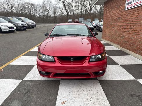 Used 2001 Ford Mustang Cobra image 8