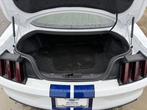 Used 2016 Ford Mustang Shelby GT350 w/ Technology Package RWD image 13