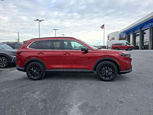 Certified 2025 Honda CR-V Sport image 7