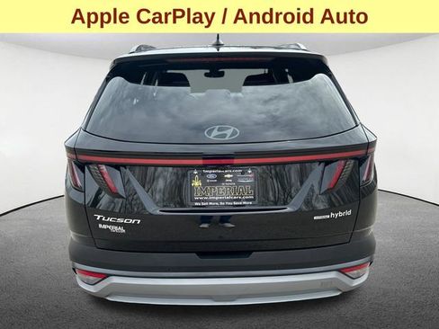 Used 2025 Hyundai Tucson Limited AWD/4WD image 9