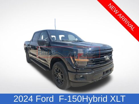 Used 2024 Ford F150 XLT w/ Equipment Group 302A MID AWD/4WD image 3