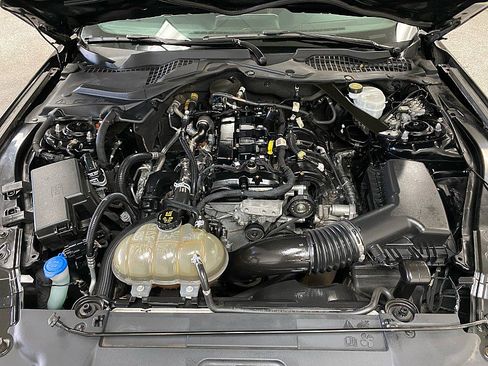 Used 2021 Ford Mustang Premium image 16