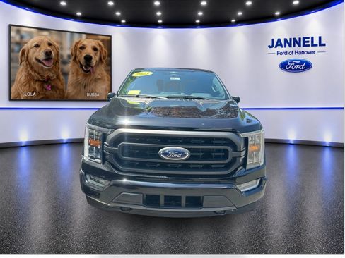 Used 2023 Ford F150 XLT w/ Equipment Group 302A High AWD/4WD image 2