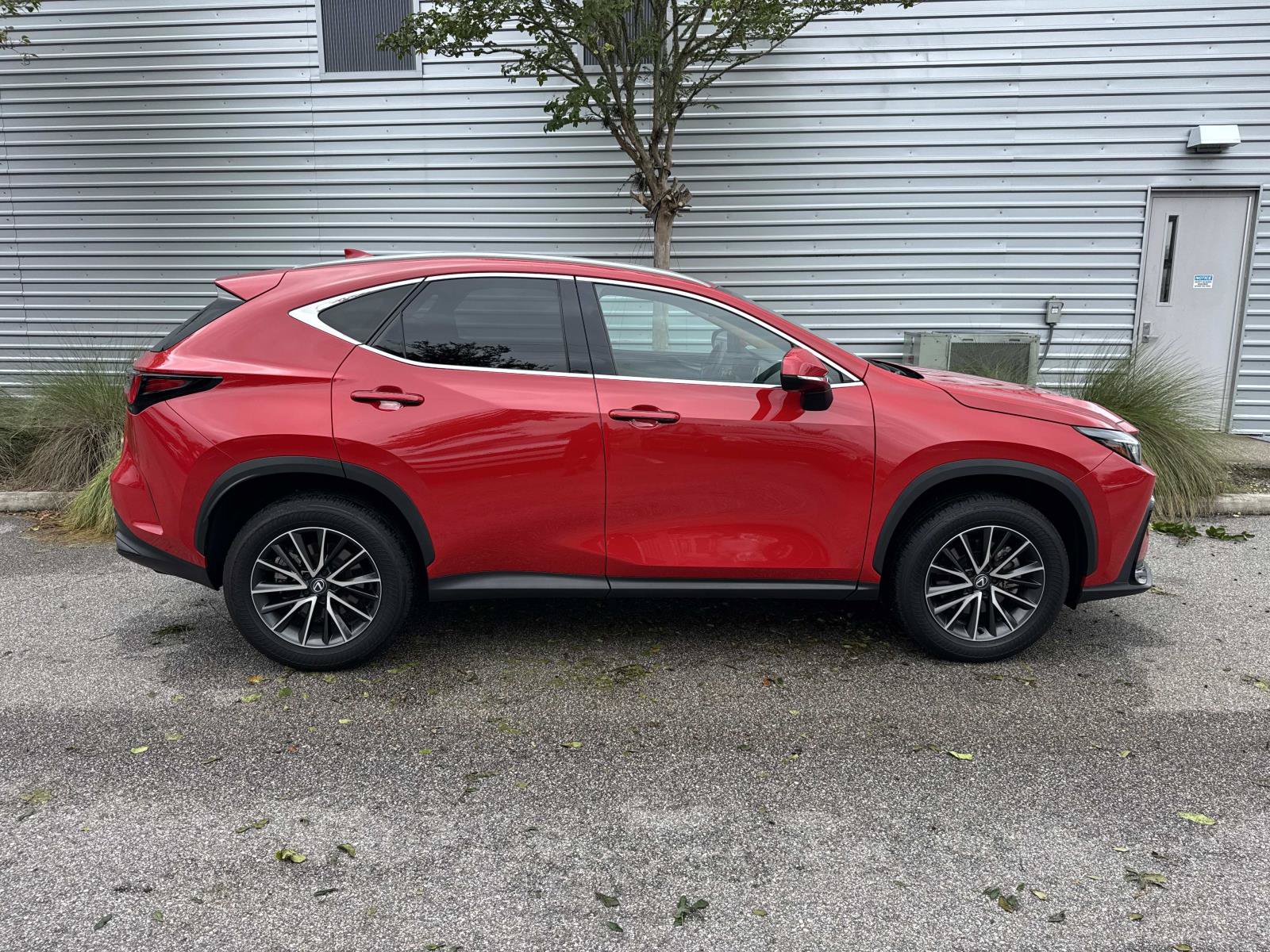 Used 2024 Lexus NX 250 FWD image 5