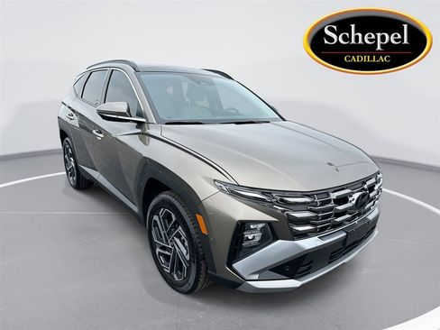 Used 2025 Hyundai Tucson Limited image 1