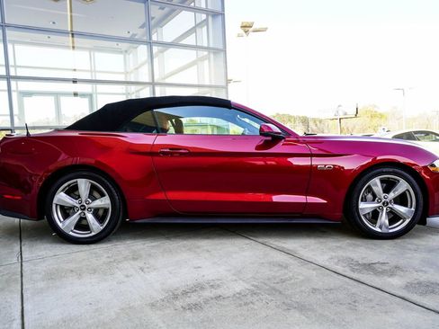 Used 2019 Ford Mustang GT Premium w/ Equipment Group 401A image 6