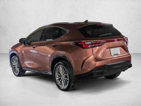 Used 2025 Lexus NX 350h AWD w/ Cold Area Package image 8