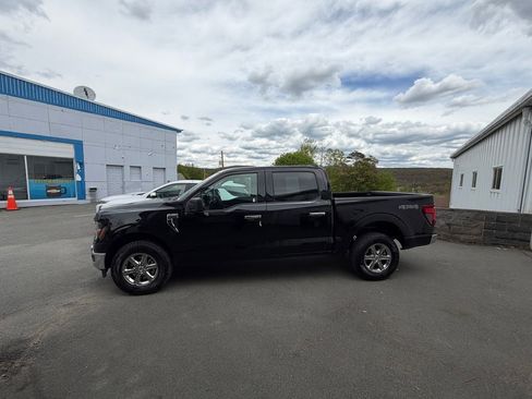 Used 2025 Ford F150 XLT w/ Equipment Group 301A Standard AWD/4WD image 2