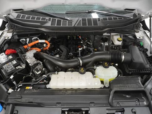 Used 2025 Ford F150 XLT w/ Equipment Group 301A Standard AWD/4WD image 6