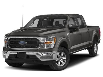 Used 2023 Ford F150 XLT w/ Equipment Group 302A High