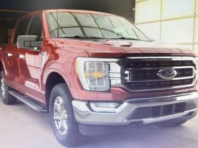 Used 2022 Ford F150 XLT w/ Equipment Group 302A High