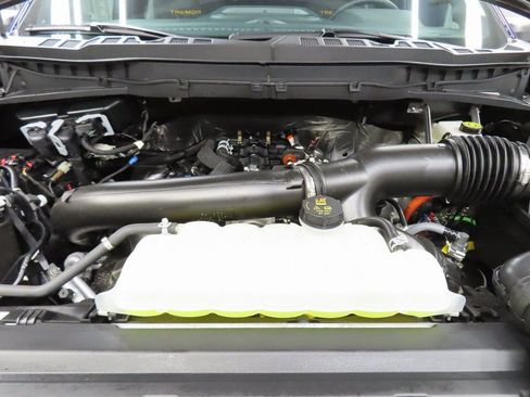 Used 2025 Ford F150 Tremor image 35