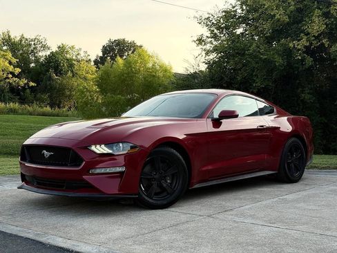 Used 2020 Ford Mustang Coupe RWD image 1